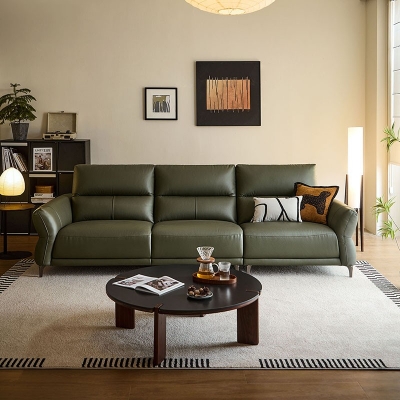 Living room leather couch