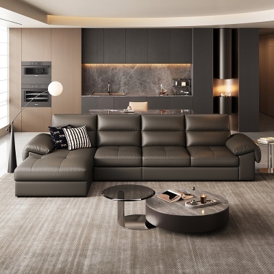 Modern leather sofa