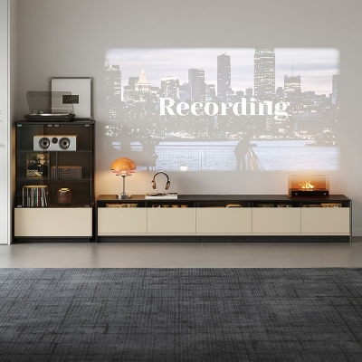 Modern TV Stand