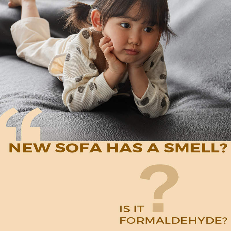 The Truth About New Leather Sofa Odors
